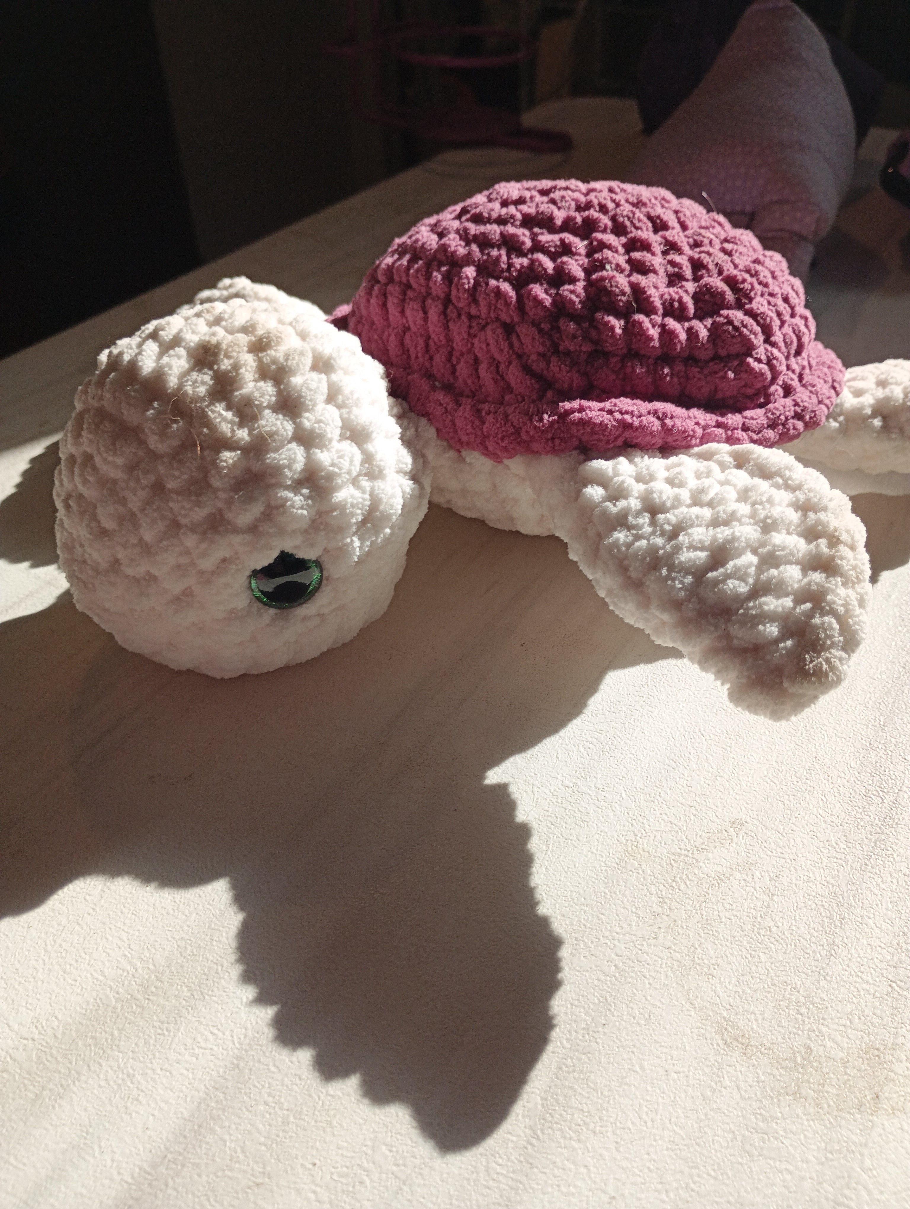 Sea turtle